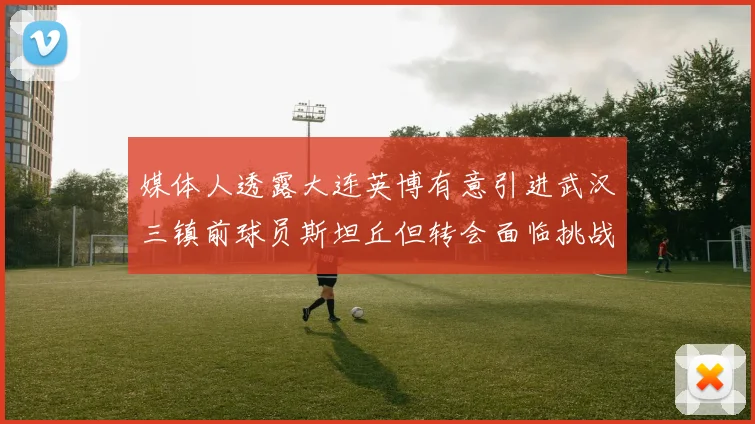 媒体人透露大连英博有意引进武汉三镇前球员斯坦丘但转会面临挑战