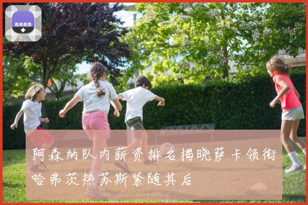 阿森纳队内薪资排名揭晓萨卡领衔哈弗茨热苏斯紧随其后