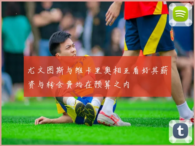 尤文图斯与维卡里奥相互看好其薪资与转会费均在预算之内